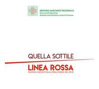 Quella sottile linea rossa. Piacenza: racconti dalla prima ondata del covid