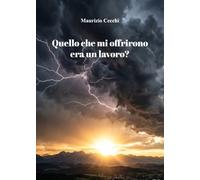 Quello che mi offrirono era un lavoro?