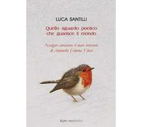 Quello sguardo poetico che guarisce il mondo. Navigare attraverso il mare letterario di Antonella Colonna Vilasi