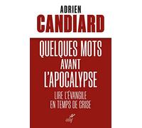 Quelques mots avant l'Apocalypse: Lire l'Evangile en temps de crise