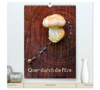 Quer durch die Pilze (hochwertiger Premium Wandkalender 2026 DIN A2 hoch), Kunstdruck in Hochglanz: Pilze - Farbkleckse in Wald und Wiese