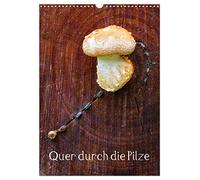 Quer durch die Pilze (Wandkalender 2026 DIN A3 hoch), CALVENDO Monatskalender: Pilze - Farbkleckse in Wald und Wiese