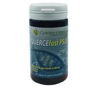 Quercefast P53 60cps Gastro