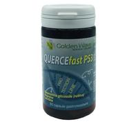 QUERCEFAST P53 60CPS GASTRO