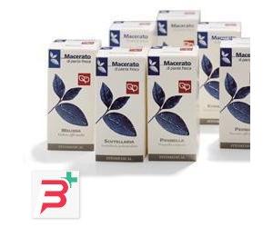 QUERCIA MARINA TINTURA MADRE 50 ML