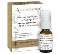 QUERCUS PEDUNCOLATA 30CA SVS