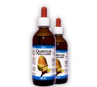 Quercus Peduncolata Mg 50 Ml