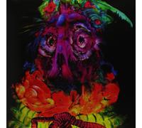 Quest For Fire Lights From Paradise (Vinyl LP)