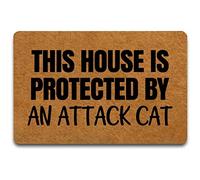 Questa Casa È Protetta Da Un Gatto Aggressivo Zerbini Di Benvenuto Resistente Tappetino Antiscivolo Antiscivolo Tappeto Doccia Per Corridoi Interno Doccia 40 X 60Cm