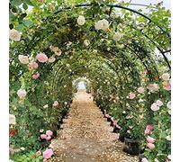 Questa Grande pergola ad Arco in Metallo da 1,4 m e 3,4 m, Resistente, è Un Arco da Giardino per Piante rampicanti, Ideale per Decorazioni Nuziali, Resistente alle intemperie e di Colore BIA