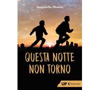 Questa notte non torno