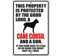 Questa proprietà è protetta dal buon Dio. Un cane di corso. Cartello in metallo.