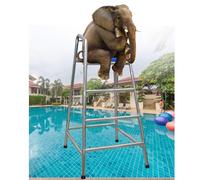 Questa Sedia da Bagnino antiruggine - Sedia da Piscina/Spiaggia in Acciaio Inox 304 Resistente per parchi Acquatici e spiagge, Alta 120/150/180 cm, Mobile da Esterno per Bagnino