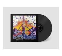 Question - Reflections of the Void
