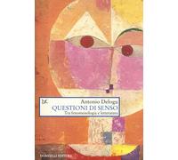Questioni di senso. Tra fenomenologia e letteratura - Delogu Antonio