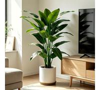 Questo albero di banana artificiale extra-large da 25,59 pollici è adatto sia per uso interno che esterno. Le sue foglie verdi realistiche sono perfette per case, uffici, giardini e altri ambienti. Pu
