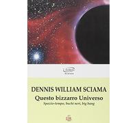 Questo bizzarro universo. Spazio-tempo, buchi neri, big bang