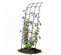 Questo Traliccio da Giardino a semiarco per Piante rampicanti, Supporto per pergolato da Giardino in Metallo da Parete, Arco per Rose a semicerchio Resistente alle intemperie per Patio Ester