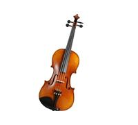 Questo Violino È Fatto A Mano E Ha Una Sola Tavola Ideale Per Principianti Adulti Che Vogliono Esercitarsi E Prepararsi Agli Esami Professionali. Violino