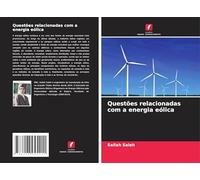 Questões relacionadas com a energia eólica
