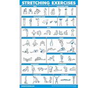 QUICKFIT Poster per esercizi di stretching - Stretch Routine (Laminato, 45,7 x 68,6 cm)