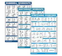 QUICKFIT Set di 3 tabelle per allenamento con manubri + esercizi a corpo libero + poster di routine di stretching - Set di 3 tabelle di allenamento (laminate, 45,7 x 68,6 cm)