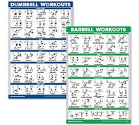 QUICKFIT Set di poster con esercizi con manubri e bilanciere, laminato con 2 tabelle, esercizi di routine con manubri e allenamento con bilanciere (45,7 x 68,6 cm)