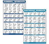 QUICKFIT Set di poster con esercizi con manubri e esercizi a corpo libero, set di 2 tabelle laminate, esercizi di routine con manubri e allenamenti con peso corporeo (45,7 x 68,6 cm)