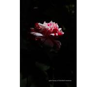 quiet beauty of cherished moments