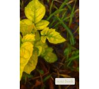 Quiet Field of New Light: A Gentle Notebook for Fresh Beginnings, Reflection, and Growing Hope