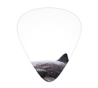 Quiet Shark, set di 12 plettri per chitarra, sottili, medi e spessi, adatti per chitarra, basso, chitarra elettrica e ukulele