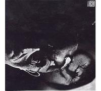 QUIET WORLD - The Road