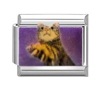 Quiges - Modulo Charm Link in stile italiano da 9 mm in acciaio inox Gatto per bracciali in stile Italian Links