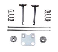 QUIGHZX Kit Piastra Guida Asta di Spinta Adatto for GX160 GX200 5,5 HP 6,5 HP 168F 14791-ZE1-010 Motore Motore Acqua Decespugliatore