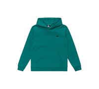 Felpa con cappuccio Quiksilver Basic verde scuro bambino - 14
