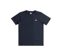 Quiksilver Basic SS Tee Youth T-Shirt Bambini e Ragazzi