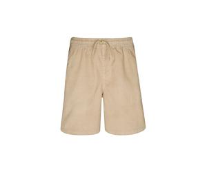 QUIKSILVER Beachshort da uomo Taxer 18 Bermuda marrone chiaro | XXL