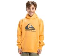 Quiksilver Big Logo Hoodie Maglia in pile Bambino