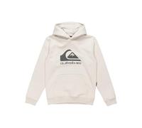 Quiksilver - Kid's Big Logo Hoodie - Felpa con cappuccio 10 Years bianco