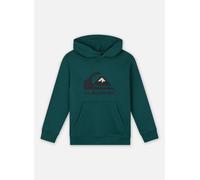 Quiksilver - Big Logo Hoodie Youth EQBFT03925 Verde - Abbigliamento 16A Verde