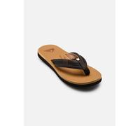 Quiksilver - CARVER SQUISH 26 Beige - Infradito 39 Beige