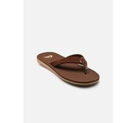Quiksilver - CARVER SUEDE 26 Marrone - Infradito 42 Marrone