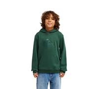 Quiksilver Comp Logo Hoodie Youth Pullover Bambini e Ragazzi (Pacco da 1)