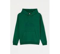 Quiksilver - Comp Logo Hoodie Youth Verde - Abbigliamento 10A Verde