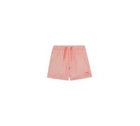 Quiksilver Everyday Deluxe Volley 14 Pantaloncini da tavola Bambino