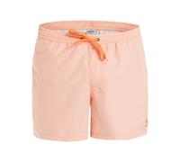 Quiksilver Everyday Deluxe Volley 15 Pantaloncini da tavola Uomo
