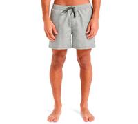 Quiksilver Everyday Deluxe Volley 15 Pantaloncini da tavola Uomo