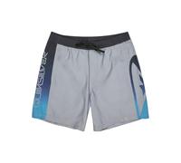 Quiksilver Everyday Holmes Volley 17 Pantaloncini da Bagno Grigio S