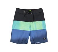 Quiksilver Everyday Panel 17 Pantaloncini da surf Bambino