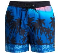 Quiksilver Everyday Printed Volley 15´´ Swimming Shorts Blu L Uomo